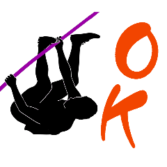 Simple everyday pole vaulting phrases