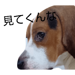 Yuusei_20260127171212