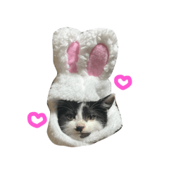 MISUZU_20260127175612