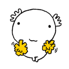 chinchira_20260127201914