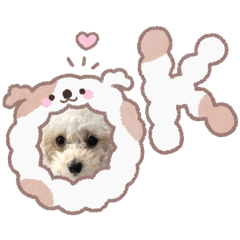 MINA_20260127203116