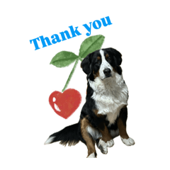 tomona_20260127231325