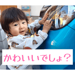 tekomaru_20260127201755