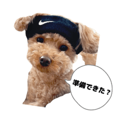 sasaai_20260127231724