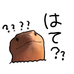 m@o_20260127175643
