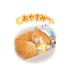 LUCCA_20260127174642