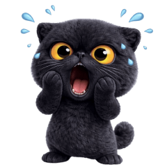 Black cat! Tuatung (No text)