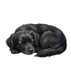 Chocolat's Daily Stickers