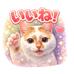 yuka_20260127221652
