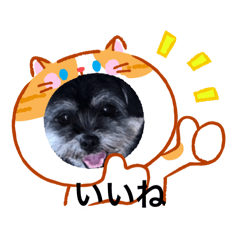 kana_20260127233103