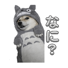 HARUNA_20260127181414