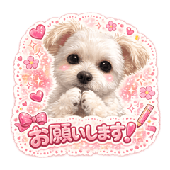 Nagi a_20260127181638