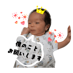 akari_20260127182143