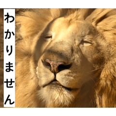 Probably a motivated animal