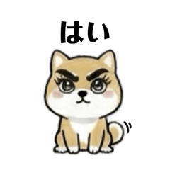 fumapi_20260128003452