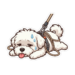 超厭世馬爾濟斯