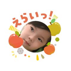 apipi_20260127114338