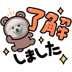 yuka_20260127152200
