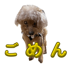 nodananoda_20260127224345