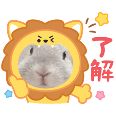 sui31_20260127154041