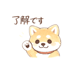 Subtle & Sweet Shiba Inu for Adults