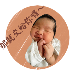 豆皮小弟的日常