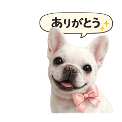 ansumo_20260127124415