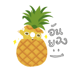 poydouz_20260127144352