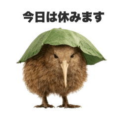 okapi_20260127144511