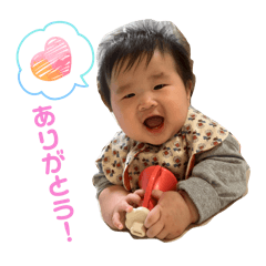 shiho_20260127163756