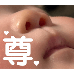 ARALE_20260127165201