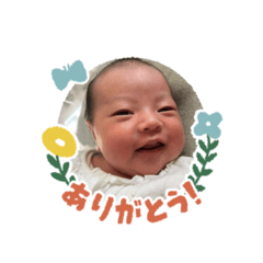 risa_20260127165256
