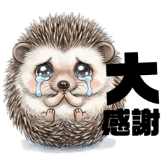 三丑寶-究麥（刺蝟哥）