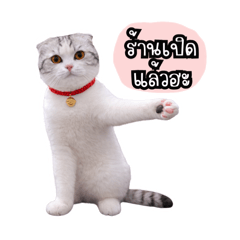 Cheraem_20260127163650