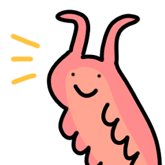 Velvet worm's daily life