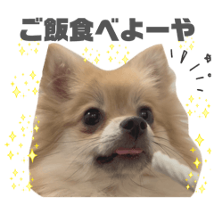 Michi_20260127204922