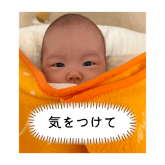 Anruru_20260127214504