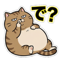 Super Chubby Tabby Cat Reactions