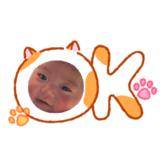 gorimaru_20260127220204