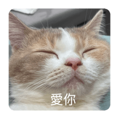 沐沐伴伴的日常2