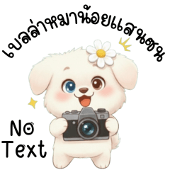 Bella, a mischievous little dog(No Text)