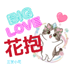 三芝小貓-小花集