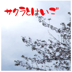 桜の写真と敬語