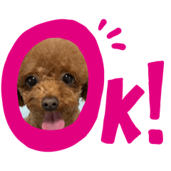 choco_20260127183636