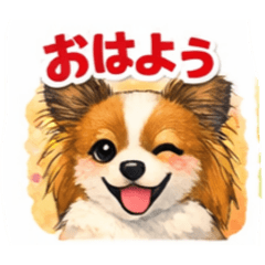 Takashi_20260127184849