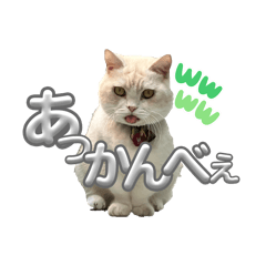 oujiro_20260127190532