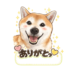 misuzu_20260127191124