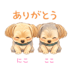 coco&nico_20260127201840