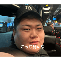 koara_20260127234131