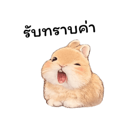 CookieRabbit_20260127191950